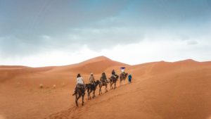 Group traveling on camel in the desert