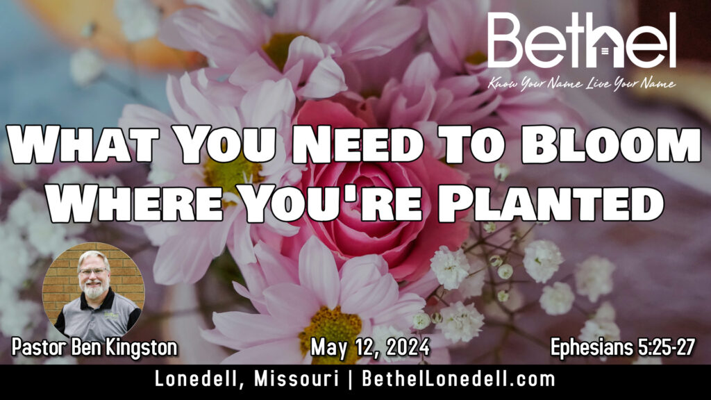 What you need to bloom where you're planted